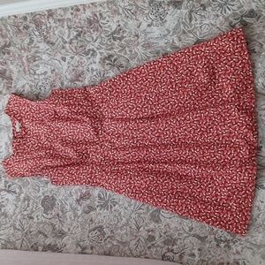 Birds of North America mushroom dress